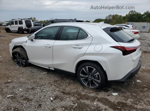 JTHUCJDH4S2010132 2025 LEXUS UX White Հետևի ձախ