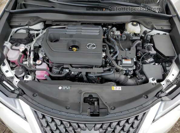 JTHUCJDH4S2010132 2025 LEXUS UX White Սալոնի հետևի տեսք