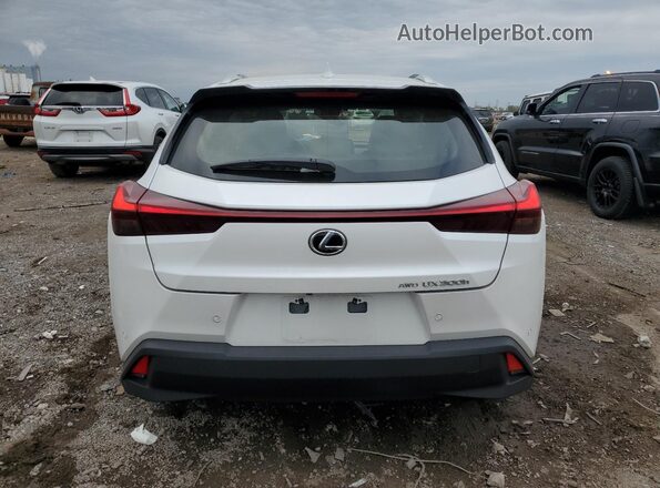 JTHUCJDH4S2010132 2025 LEXUS UX White Հետևի տեսք
