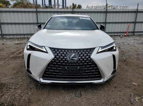 JTHUCJDH4S2010132 2025 LEXUS UX White Դիմացի տեսք