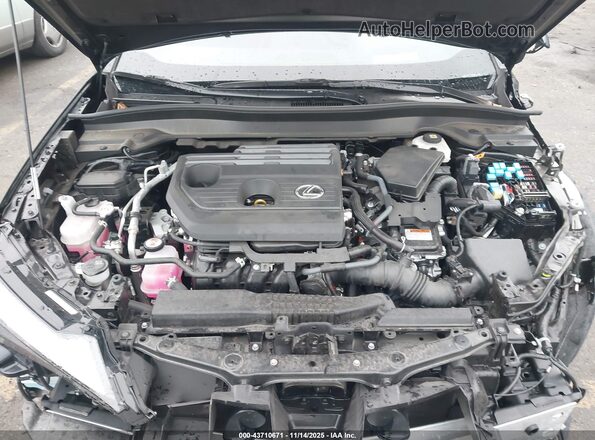 JTHUCJDHXS2002116 2025 LEXUS UX 300H Black Vista trasera