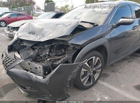 JTHX3JBH3N2050870 2022 LEXUS UX 200 Gray 