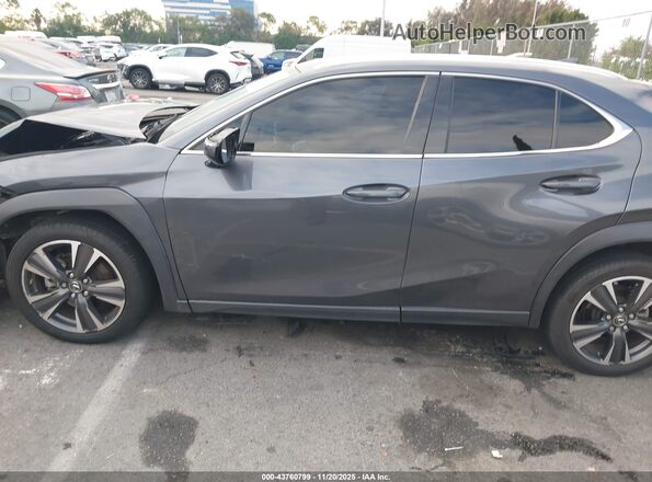 JTHX3JBH3N2050870 2022 LEXUS UX 200 Gray Панорамний вид салону 360°