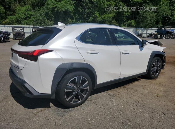 JTHX3JBH5L2029435 2020 LEXUS UX Белый Задняя правая четверть