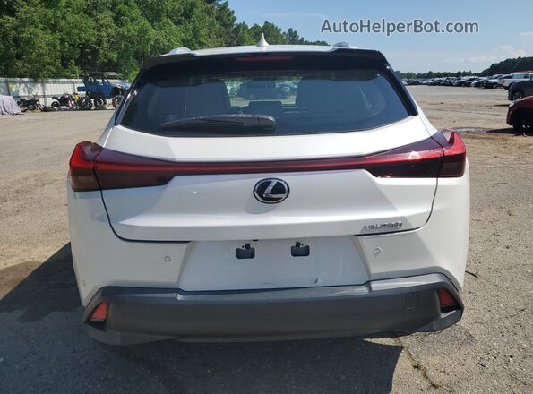 JTHX3JBH5L2029435 2020 LEXUS UX Белый Вид сзади