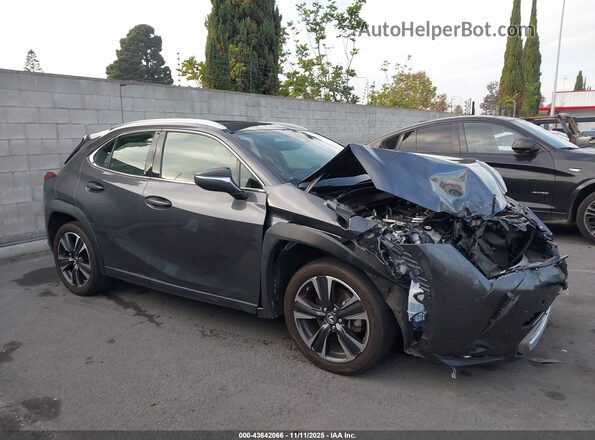 JTHX6JBH1P2153070 2023 LEXUS UX 250H Gray Widok wnętrza 360 stopni