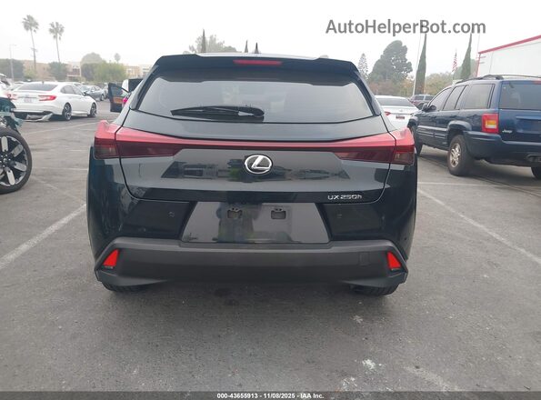 JTHX6JBH4P2142029 2023 LEXUS UX Black 
