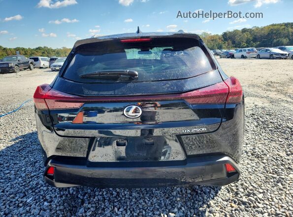 JTHX6JBH6R2193096 2024 LEXUS UX Черный Вид сзади