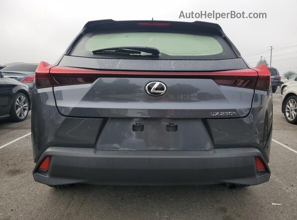 JTHX6JBHXP2146392 2023 LEXUS UX Угольный Вид сзади