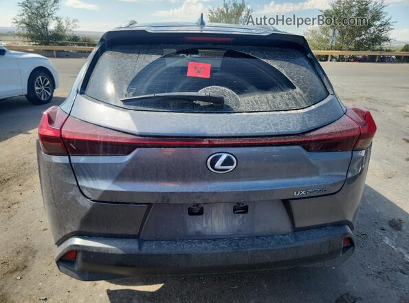 JTHX9JBH7L2030097 2020 LEXUS UX Gray უკანა ხედი