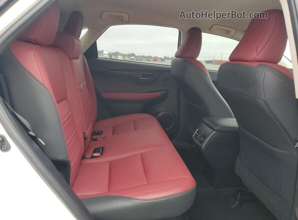 JTJAARBZ3L5017574 2020 LEXUS NX Белый Вид задней части салона