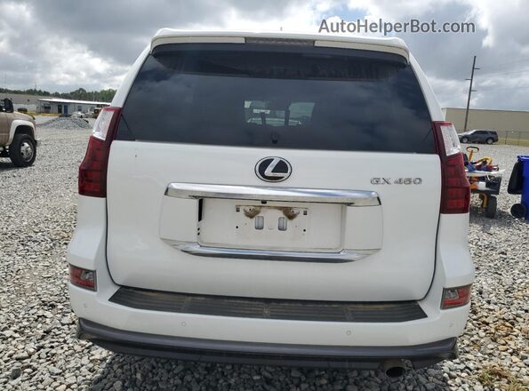 JTJAM7BX1L5245728 2020 LEXUS GX White Հետևի տեսք