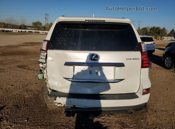 JTJAM7BX1L5246183 2020 LEXUS GX White Вид ззаду