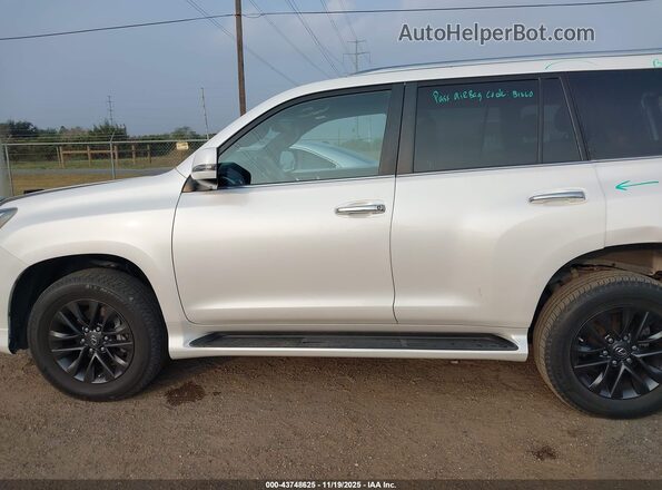 JTJAM7BX1P5376101 2023 LEXUS GX 460 White 