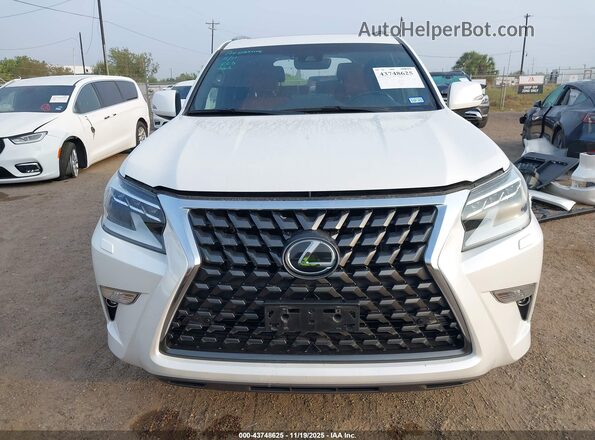 JTJAM7BX1P5376101 2023 LEXUS GX 460 White უკანა სალონის ხედი