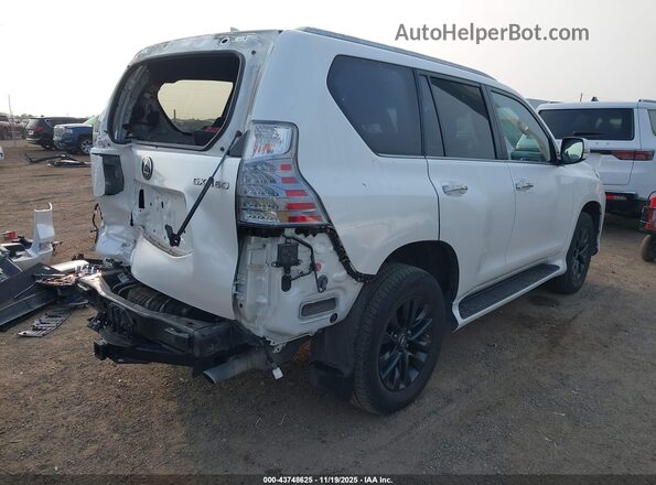 JTJAM7BX1P5376101 2023 LEXUS GX 460 White უკანა მარჯვენა