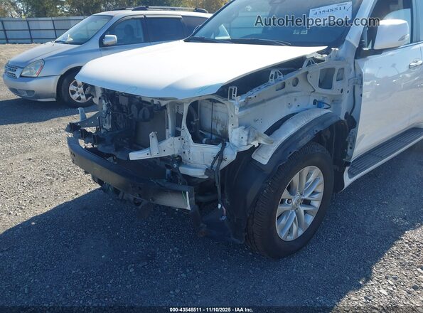 JTJAM7BX5P5350536 2023 LEXUS GX 460 White წინა ხედი