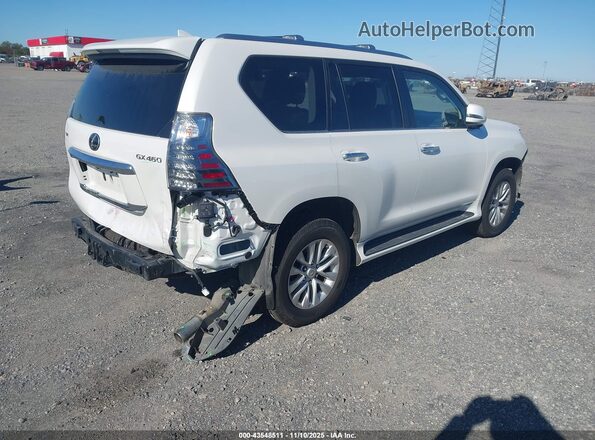JTJAM7BX5P5350536 2023 LEXUS GX 460 White უკანა მარჯვენა