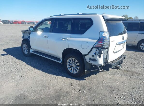 JTJAM7BX5P5350536 2023 LEXUS GX 460 White უკანა მარცხენა