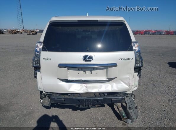 JTJAM7BX5P5350536 2023 LEXUS GX 460 White 