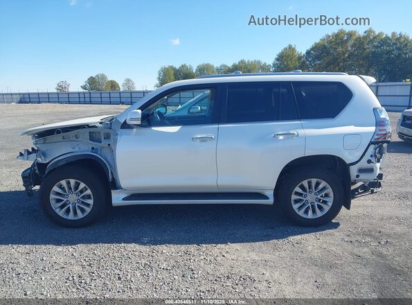 JTJAM7BX5P5350536 2023 LEXUS GX 460 White 