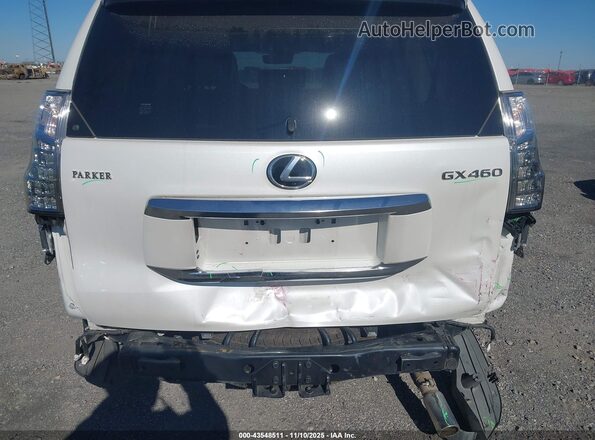 JTJAM7BX5P5350536 2023 LEXUS GX 460 White 