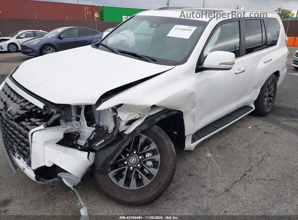 JTJAM7BX8P5372045 2023 LEXUS GX 460 White Vista frontal