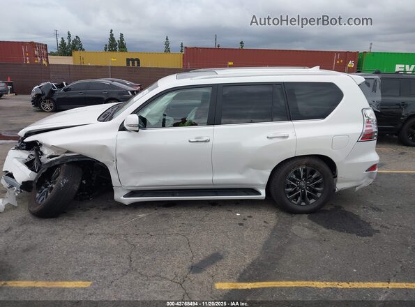 JTJAM7BX8P5372045 2023 LEXUS GX 460 White 