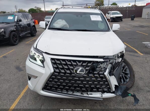 JTJAM7BX8P5372045 2023 LEXUS GX 460 White Vista interior trasera