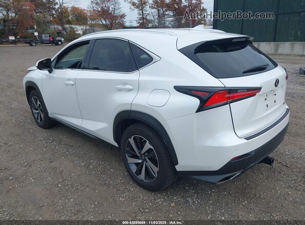 JTJBARBZ0J2156113 2018 LEXUS NX 300 White უკანა მარცხენა