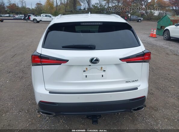 JTJBARBZ0J2156113 2018 LEXUS NX 300 White 
