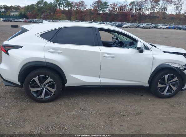 JTJBARBZ0J2156113 2018 LEXUS NX 300 White უკანა სალონის ხედი