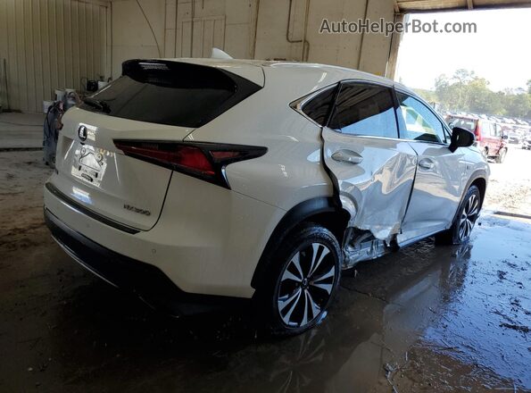 JTJBARBZ1K2195908 2019 LEXUS NX White Tył prawy