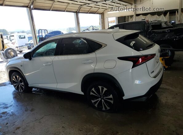 JTJBARBZ1K2195908 2019 LEXUS NX White Tył lewy