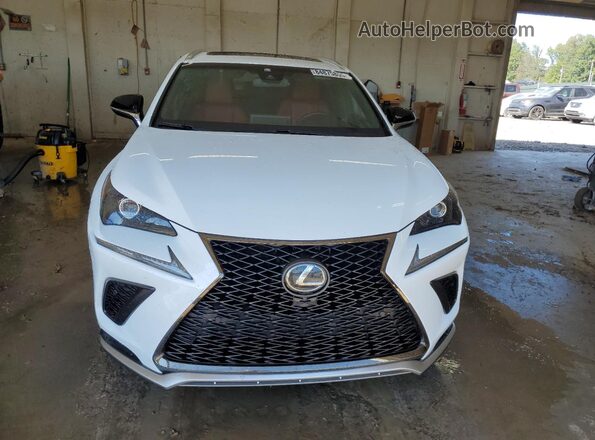 JTJBARBZ1K2195908 2019 LEXUS NX White Widok z przodu