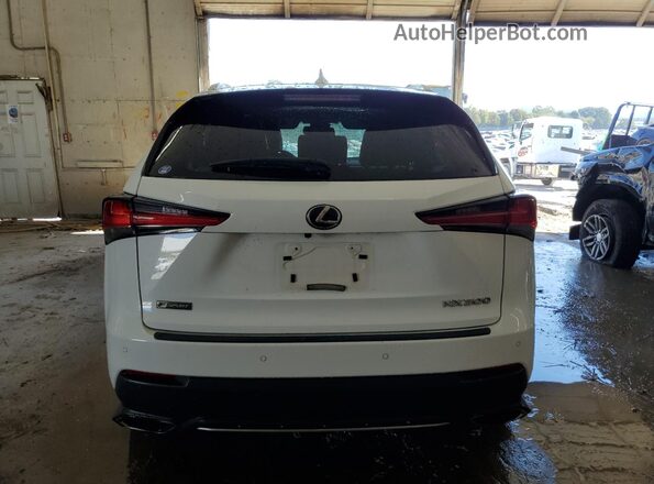 JTJBARBZ1K2195908 2019 LEXUS NX White Widok z tyłu