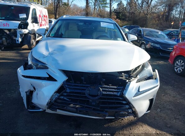 JTJBARBZ2J2167632 2018 LEXUS NX 300 White 