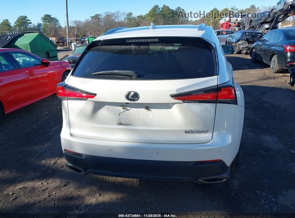 JTJBARBZ2J2167632 2018 LEXUS NX 300 White 