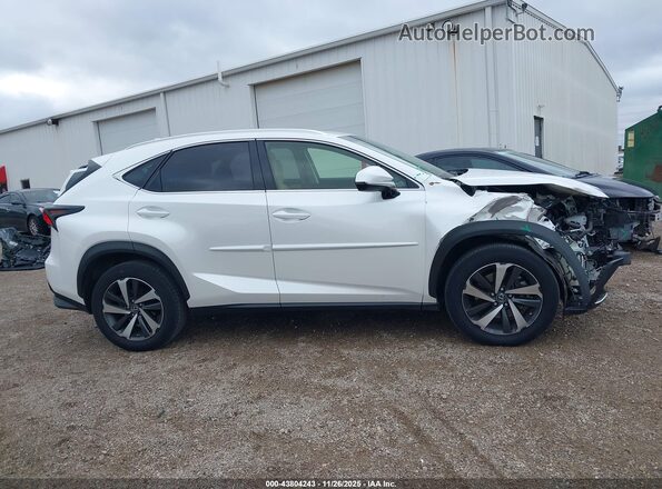 JTJBARBZ3J2174881 2018 LEXUS NX 300 White უკანა სალონის ხედი