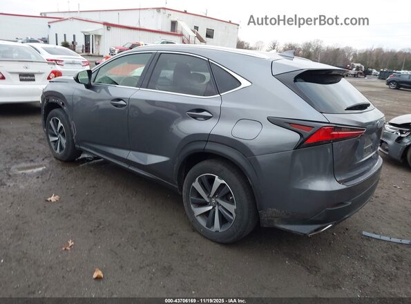 JTJBARBZ4K2183879 2019 LEXUS NX 300 Gray Tył lewy
