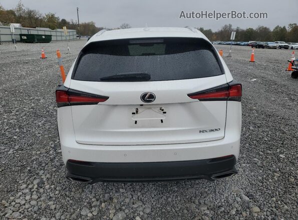 JTJBARBZ4K2215620 2019 LEXUS NX Белый Вид сзади