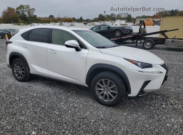 JTJBARBZ4K2215620 2019 LEXUS NX Белый Передняя правая четверть