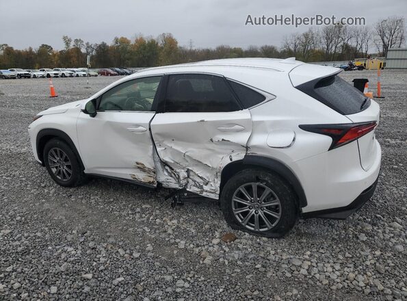 JTJBARBZ4K2215620 2019 LEXUS NX Белый Задняя левая четверть