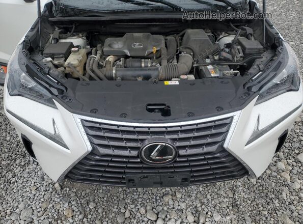 JTJBARBZ4K2215620 2019 LEXUS NX Белый Вид подкапотного пространства