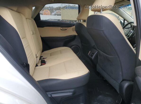 JTJBARBZ4K2215620 2019 LEXUS NX Белый Вид задней части салона