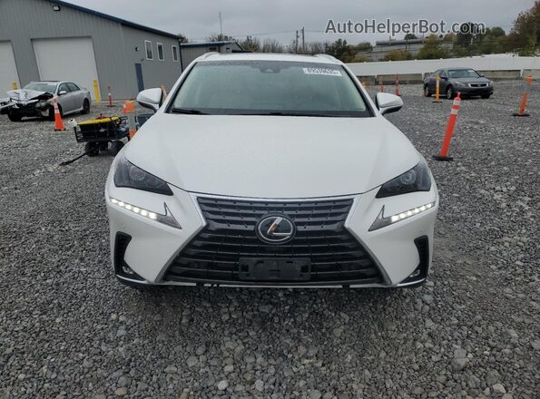 JTJBARBZ4K2215620 2019 LEXUS NX Белый Вид спереди