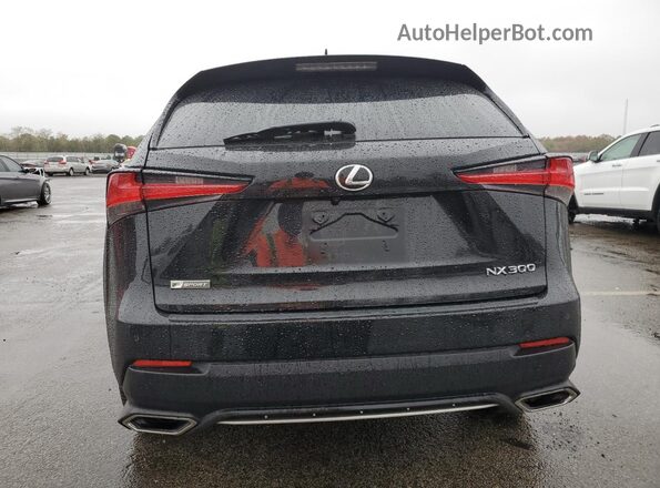 JTJBARBZ9K2198054 2019 LEXUS NX Black Vista trasera