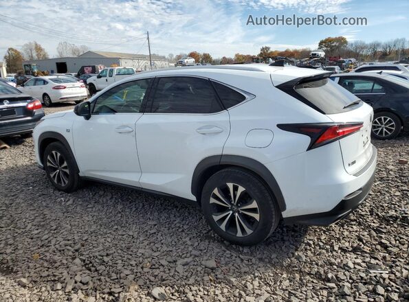 JTJBARBZXJ2166096 2018 LEXUS NX White Tył lewy