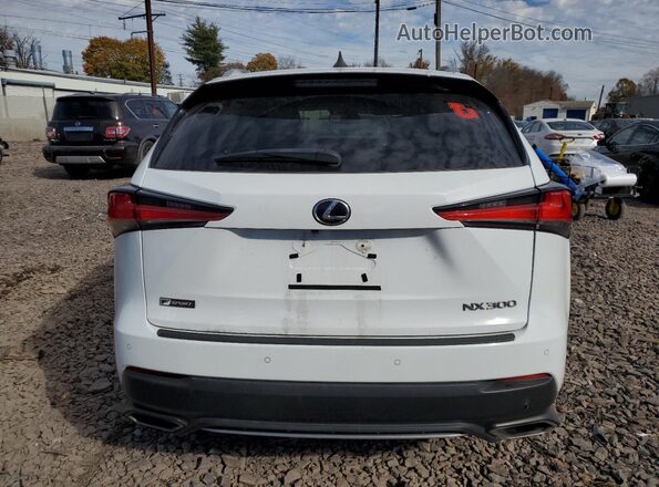 JTJBARBZXJ2166096 2018 LEXUS NX White Widok z tyłu