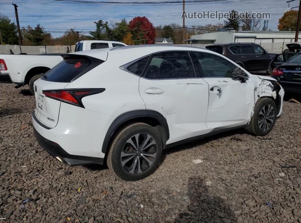 JTJBARBZXJ2166096 2018 LEXUS NX White Tył prawy